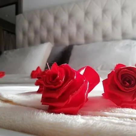 Apartment Pavlovic Luxury